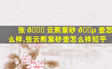 张 🐋 云熙紫砂 🐵 壶怎么样,张云熙紫砂壶怎么样知乎